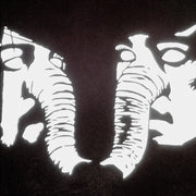 the album cover for Death From Above 1979 - Private Lives [Clear Vinyl] (Gol)