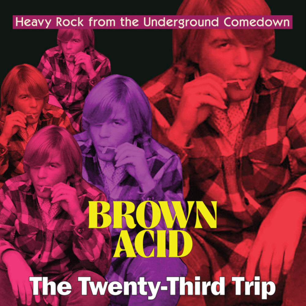 the album cover for Brown Acid - The Twenty-Third Trip / Various - Brown Acid - The Twenty-Third Trip / Various