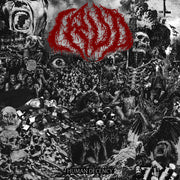 the album cover for Crud - Human Decency