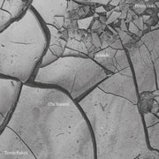 the album cover for Terezie Fialova - Peteris Vasks: Gadalaiki (The Seasons) - Terezie