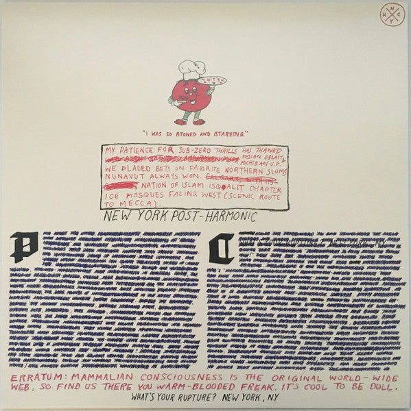 Parquet Courts : Light Up Gold (LP, Album)
