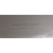 Janet Jackson : If (2x12", Promo)