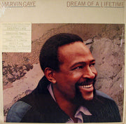 Marvin Gaye : Dream Of A Lifetime (LP, Album, Pit)