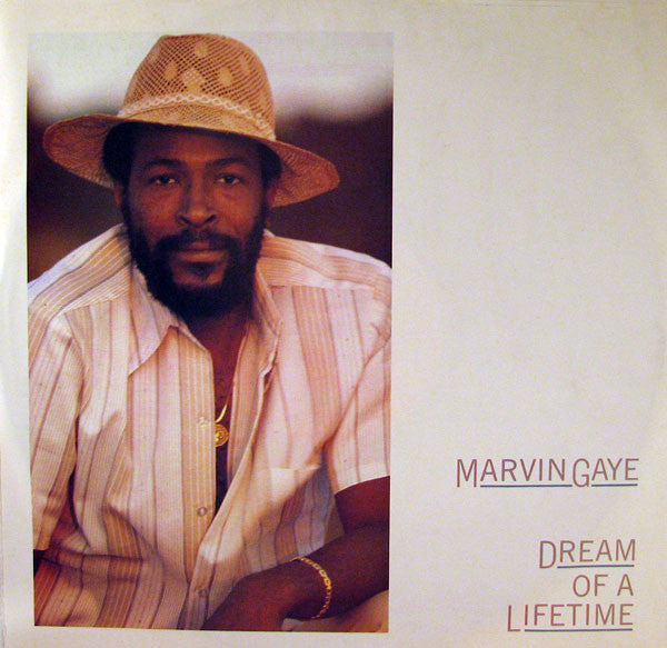 Marvin Gaye : Dream Of A Lifetime (LP, Album, Pit)