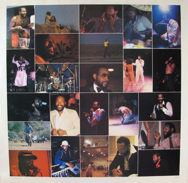 Marvin Gaye : Dream Of A Lifetime (LP, Album, Pit)