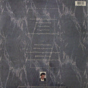 Julio Iglesias : Starry Night (LP, Album)