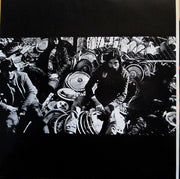 The Avett Brothers : Magpie And The Dandelion (2xLP, Album)