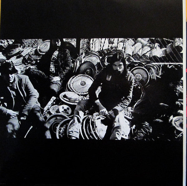 The Avett Brothers : Magpie And The Dandelion (2xLP, Album)