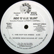 Indo G & Lil' Blunt : Blame It On The Funk (12", Promo)