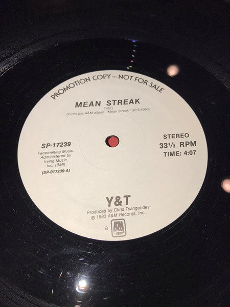 Y & T : Mean Streak (12", Promo)