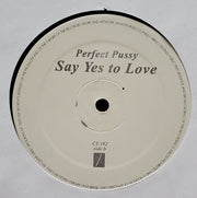 Perfect Pussy : Say Yes To Love (LP, Album)