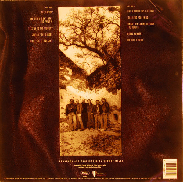 The Doobie Brothers : Cycles (LP, Album)