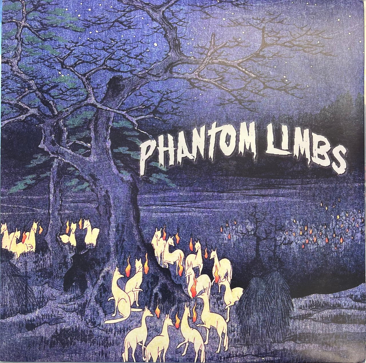 Phantom Limbs  - Phantom Limbs (Near Mint (NM or M-)) Rock (12", EP)