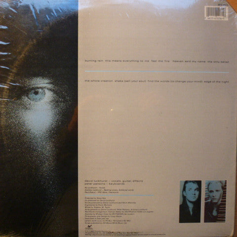 Crazy House : Still Looking For Heaven On Earth (LP, Album)