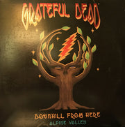 Grateful Dead* : Downhill From Here - Alpine Valley (2xLaserdisc, 12", NTSC)