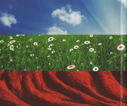 Tom Petty And The Heartbreakers : Hypnotic Eye (CD, Album)