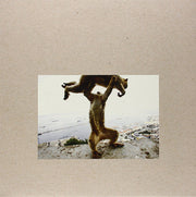 Shellac : Dude Incredible (LP, Album, 180 + CD, Album)