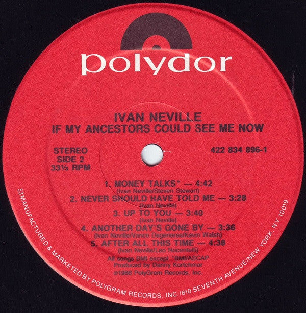 Ivan Neville : If My Ancestors Could See Me Now (LP, Album, 53 )