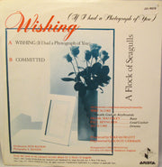 A Flock Of Seagulls : Wishing (If I Had A Photograph Of You) (7", Single)