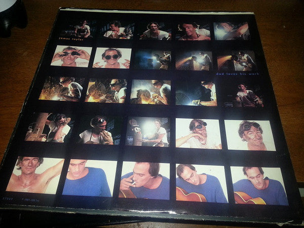 James Taylor (2) : Dad Loves His Work (LP, Album, San)