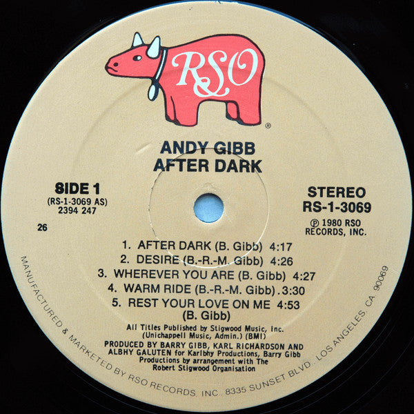 Andy Gibb : After Dark (LP, Album, 26 )