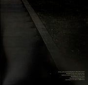 The Tallest Man On Earth : Dark Bird Is Home (LP, Album)
