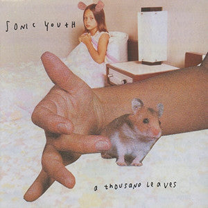 Sonic Youth : A Thousand Leaves (CD, Album, RE)