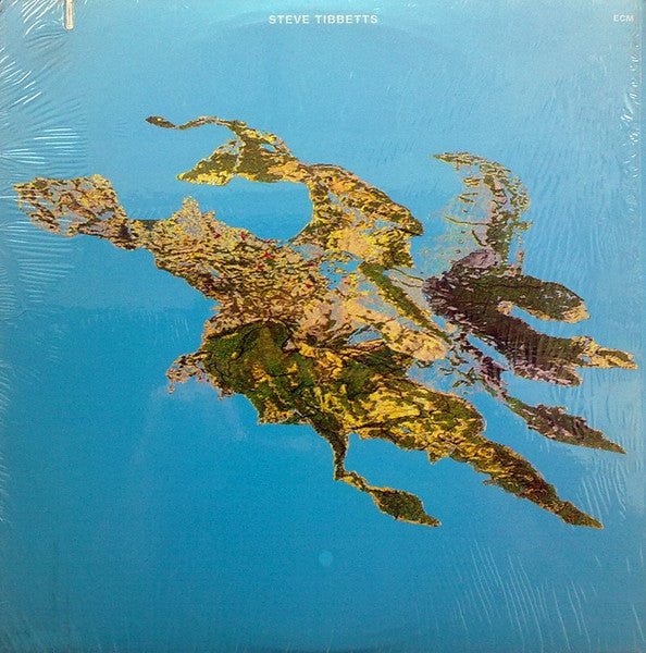 Steve Tibbetts : Big Map Idea (LP, Album)