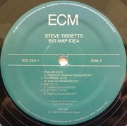 Steve Tibbetts : Big Map Idea (LP, Album)