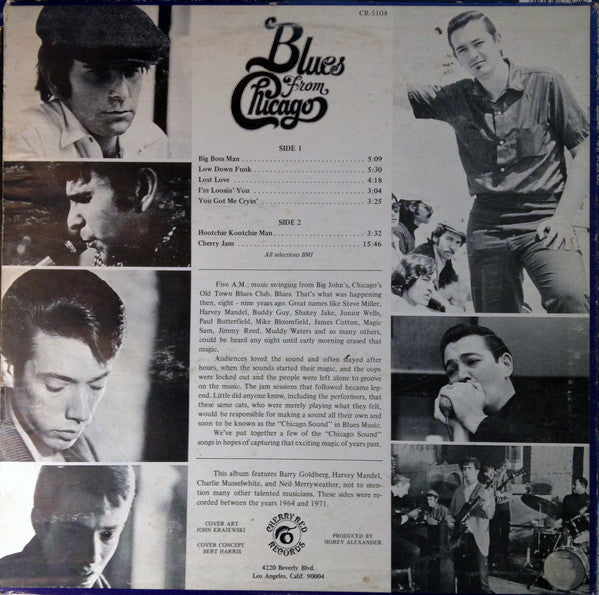 Harvey Mandel, Barry Goldberg, Charlie Musselwhite, Neil Merryweather, Jones* : Blues From Chicago (LP, Album)