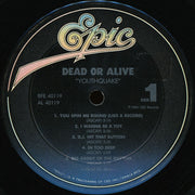 Dead Or Alive : Youthquake (LP, Album)