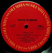 David Gilmour : David Gilmour (LP, Album, San)