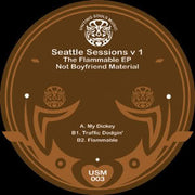 Not Boyfriend Material : Seattle Sessions V1 - The Flammable EP (12")