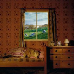 Umphrey's McGee : Safety In Numbers (2xLP, Album, RE, RM, 180)