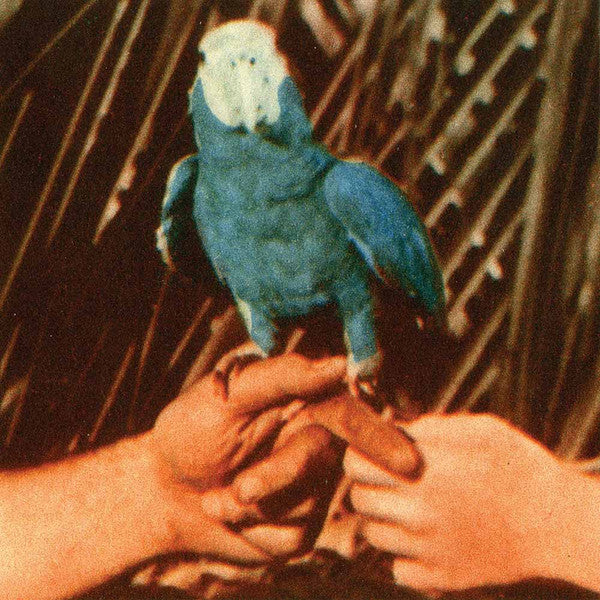 Andrew Bird : Are You Serious (LP, Album)