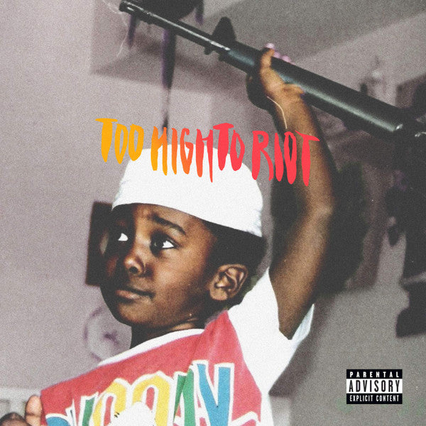 Bas (21) : Too High To Riot (LP, Album)