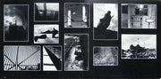 Pink Floyd : Animals (LP, Album, Pit)