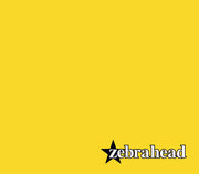 Zebrahead : Zebrahead (CD, Album, Ori)