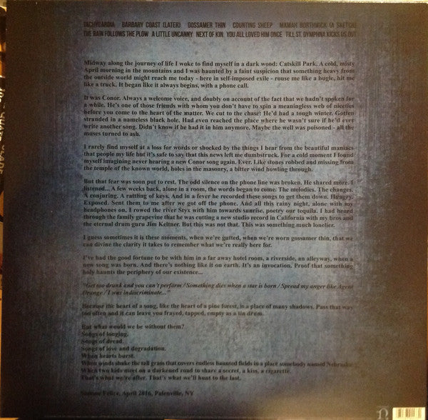 Conor Oberst : Ruminations (LP, Album)
