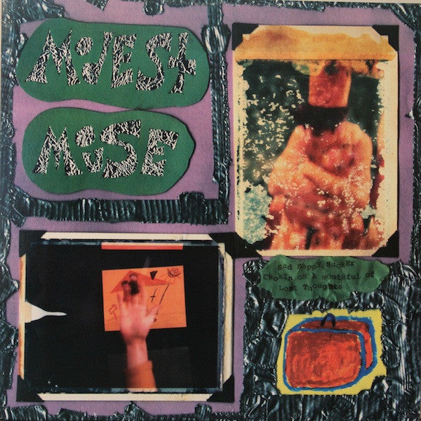 Modest Mouse : Sad Sappy Sucker (LP, Album)
