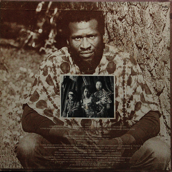 Taj Mahal : Recycling The Blues & Other Related Stuff (LP, Album)