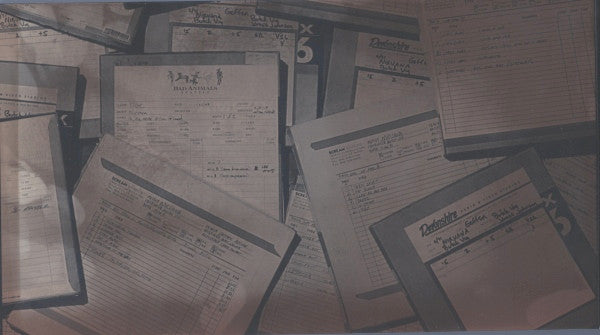 Nirvana : With The Lights Out (3xCD + DVD-V, NTSC + Box, Comp)