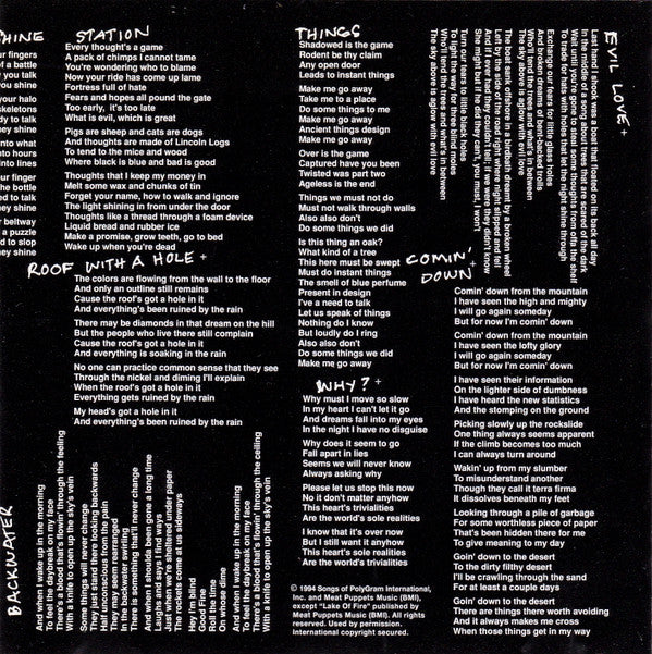 Meat Puppets : Too High To Die (CD, Album)