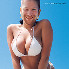 Aphex Twin - Windowlicker [LP]