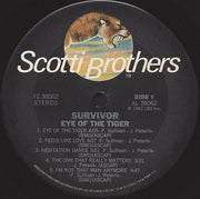 Survivor : Eye Of The Tiger (LP, Album, Ter)