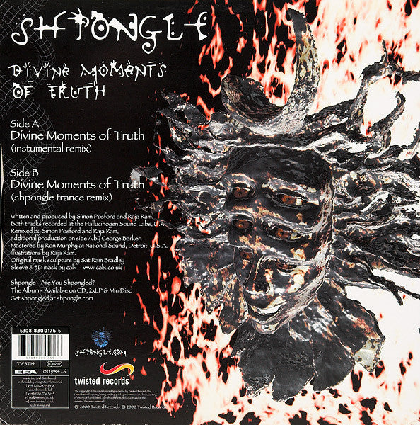 Shpongle : Divine Moments Of Truth (12")