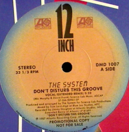 The System : Don't Disturb This Groove (12", Single, Promo)