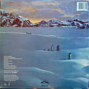 The Beach Boys : Keepin' The Summer Alive (LP, Album, RE, San)