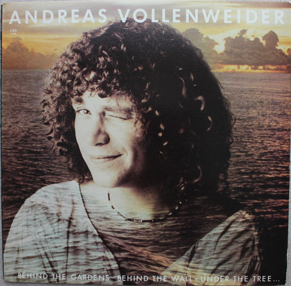 Andreas Vollenweider : ... Behind The Gardens - Behind The Wall - Under The Tree ... (LP, Album, Car)