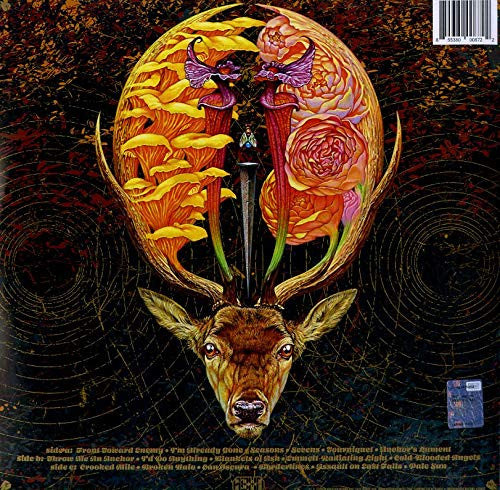 Baroness : Gold & Grey (LP + LP, S/Sided, Etch + Album, Ltd)